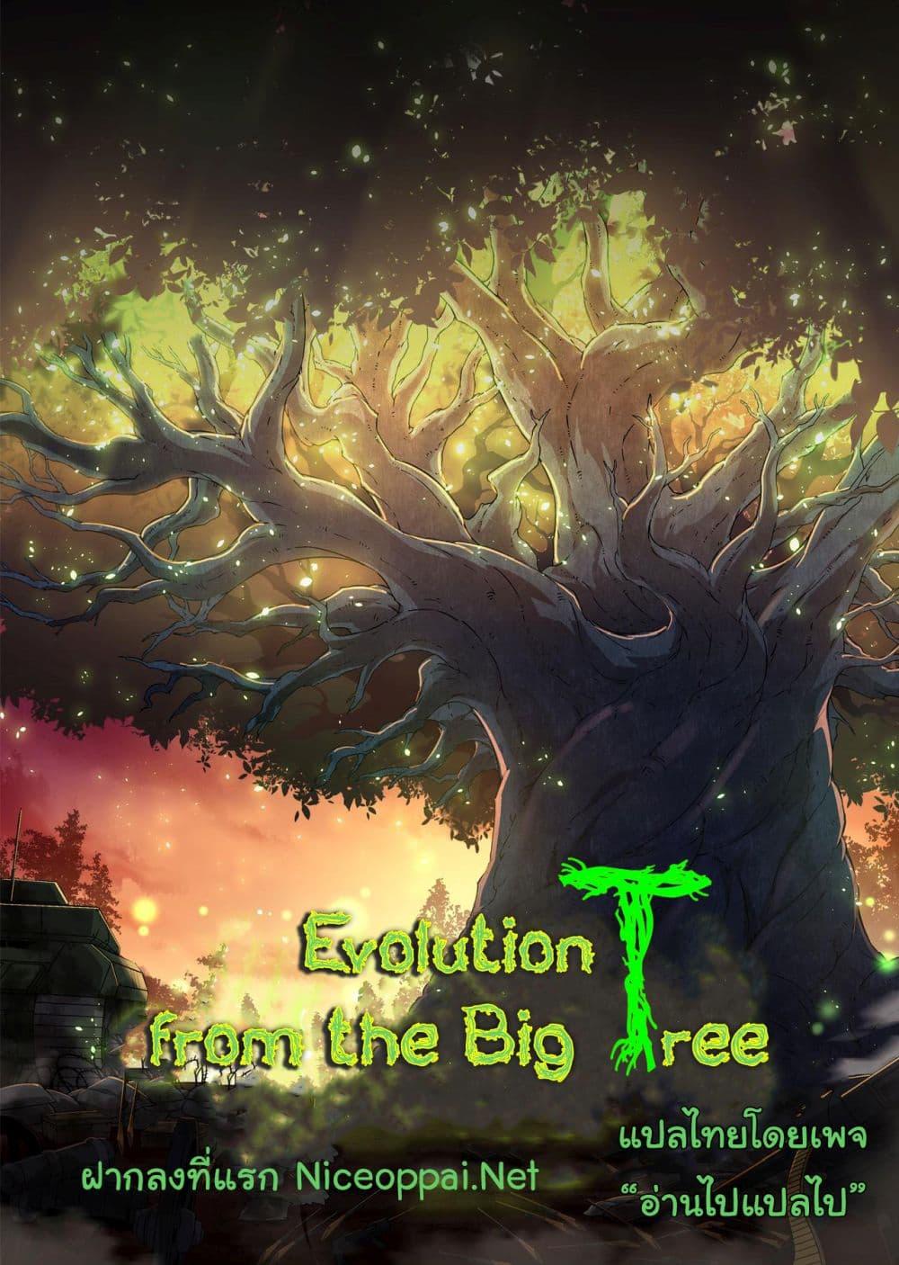 /images/evolution-begins-with-a-big-tree-151-FoqLRPnDuyTs_42.jpg