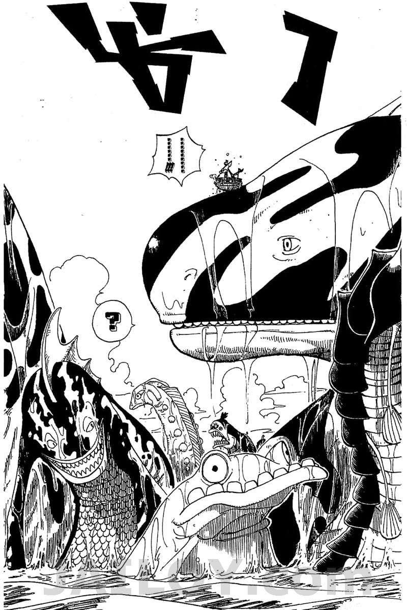 /images/one-piece-101-d83oUN60SAx1_9.jpg