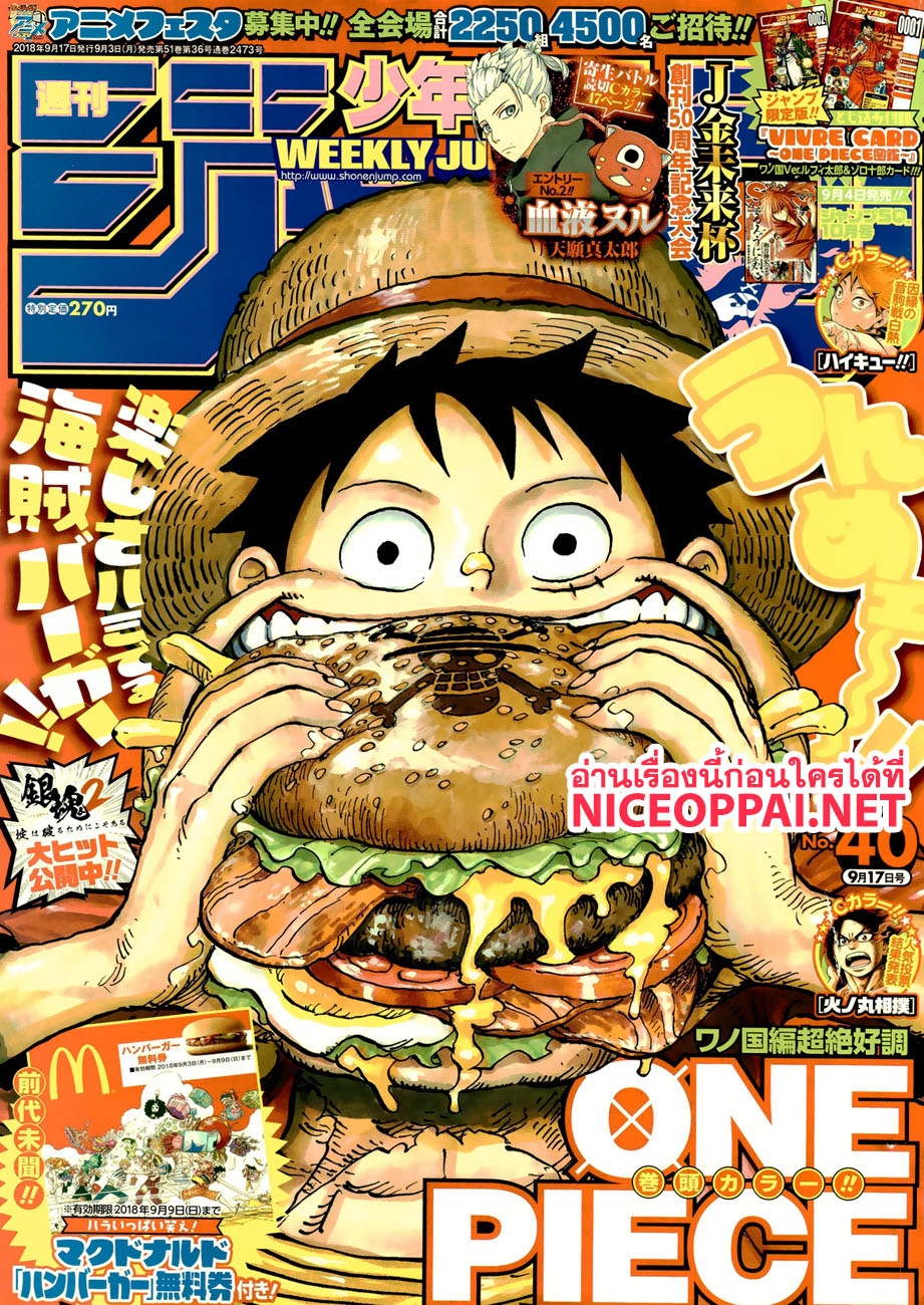 /images/one-piece-916-5DuGWKNALwmy_1.jpg