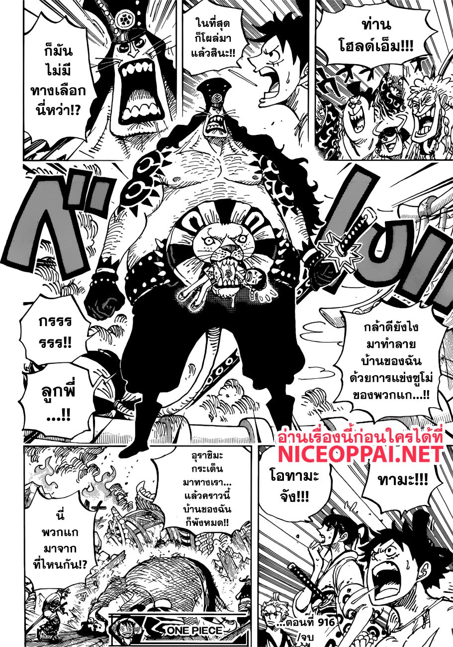 /images/one-piece-916-jnl2KdoCfY2H_17.jpg