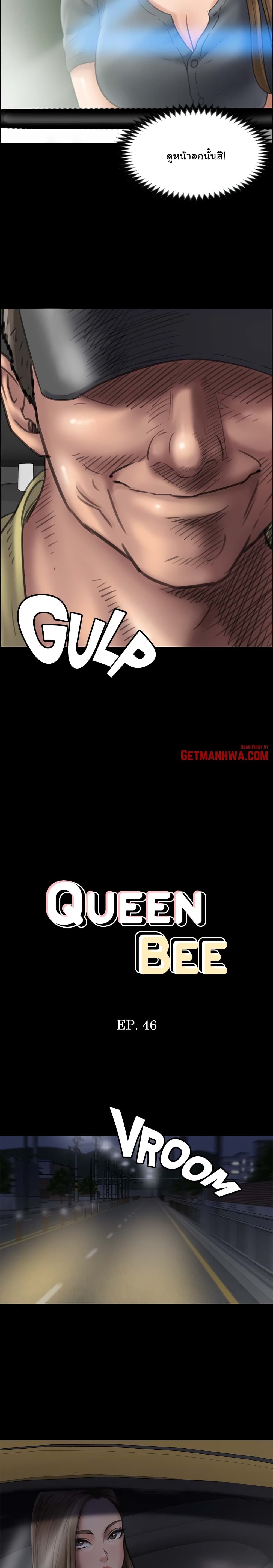 /images/queen-bee-46-frdxZ3f4lOrF_2.jpg