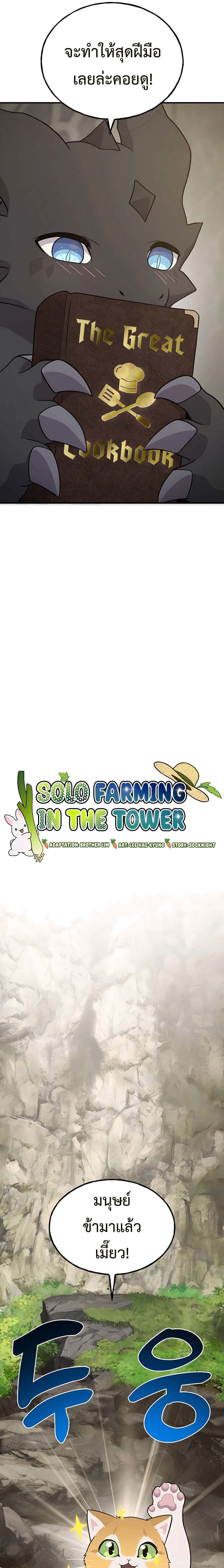 /images/solo-farming-in-the-tower-45-n1urP4EGbMR9_13.jpg