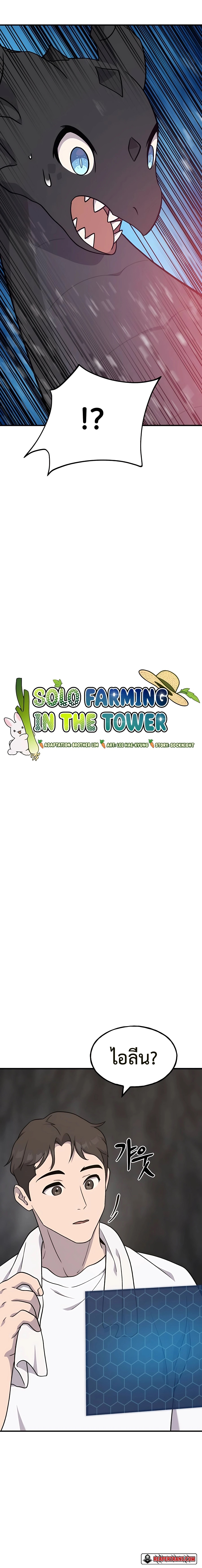 /images/solo-farming-in-the-tower-45-sJH53uiWZzJT_2.jpg